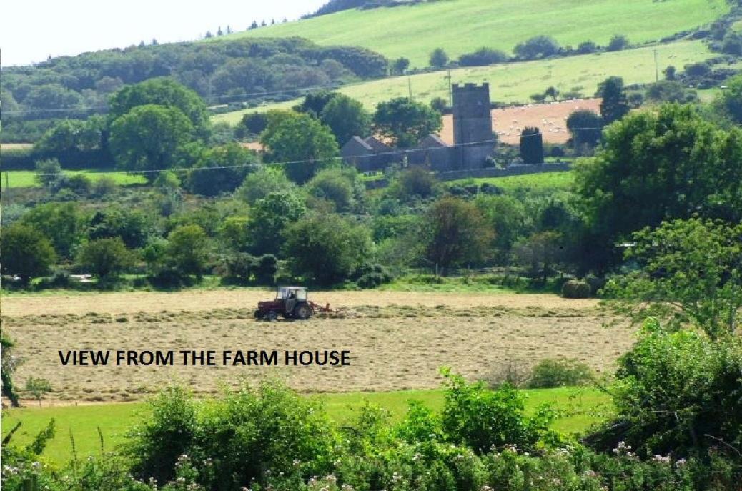 Wonderful Setting Farmhouse Apartment Wicklow Eksteriør bilde